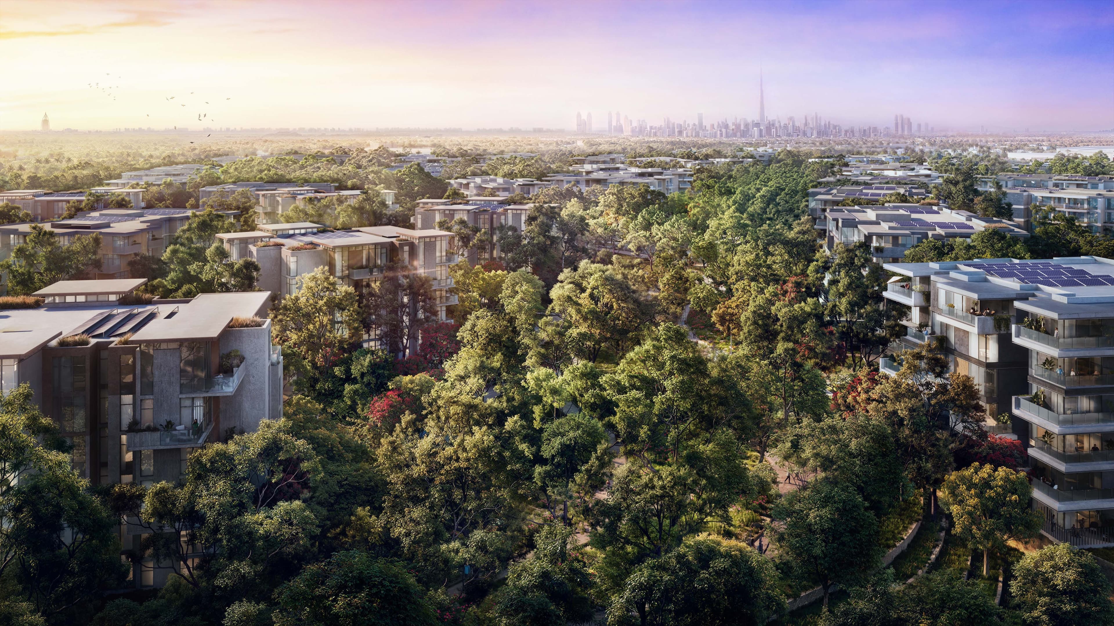 Dubai's First Forest-Living Ecosystem